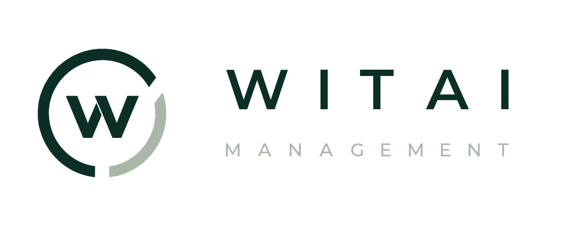 WITAI Management